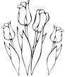 Laminas para colorear dibujos de primavera tulipanes